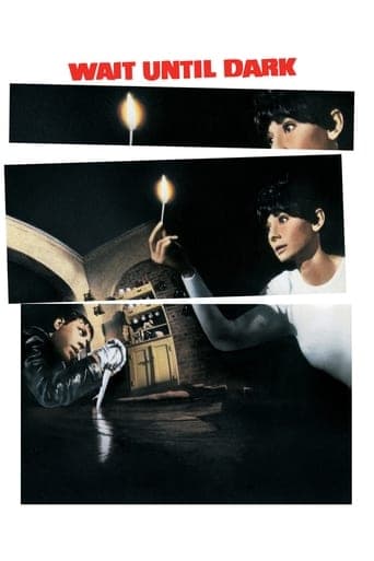 Gli occhi della notte